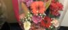 Elizabeth Lorine Flo...